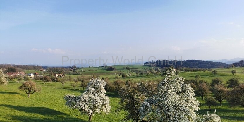 Landschaft Landschaft