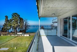 Aussicht einer Seitenwohnung auf den Garten der 4,5 Zi Whg.