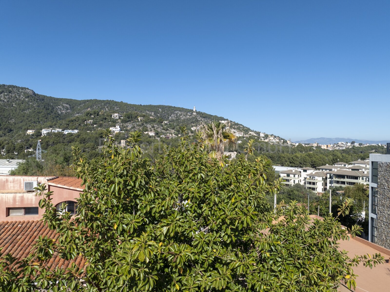 Luxury Penthouse Left in San Agustin