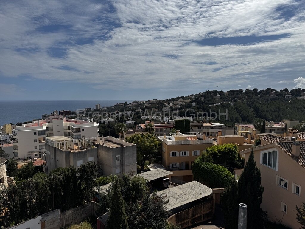 Luxury Penthouse Left in San Agustin